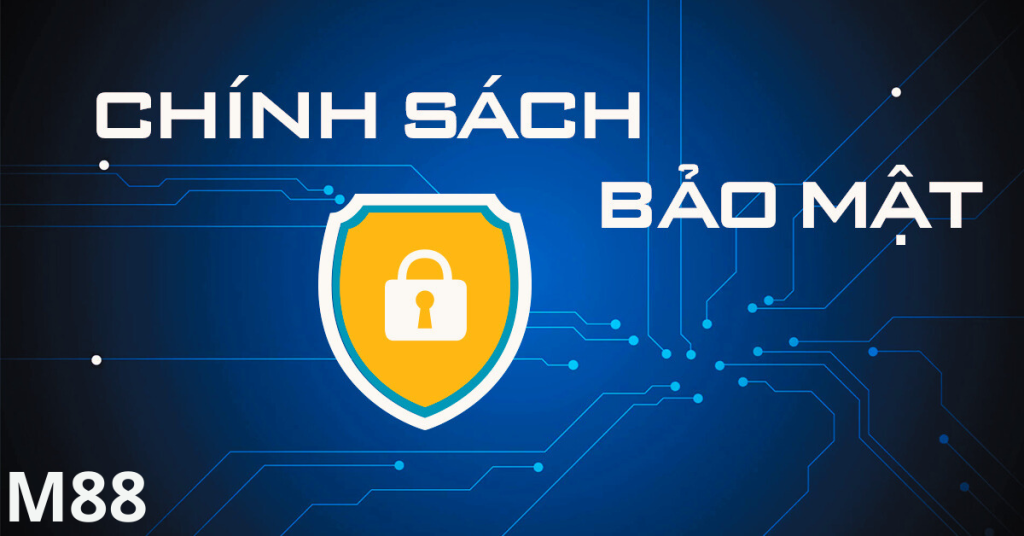 Tại sao chính sách bảo mật lại quan trọng?