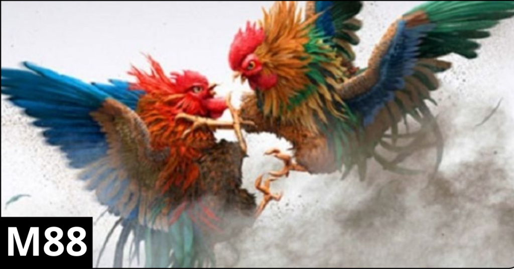 Các Loại Gà Chọi Phổ Biến
